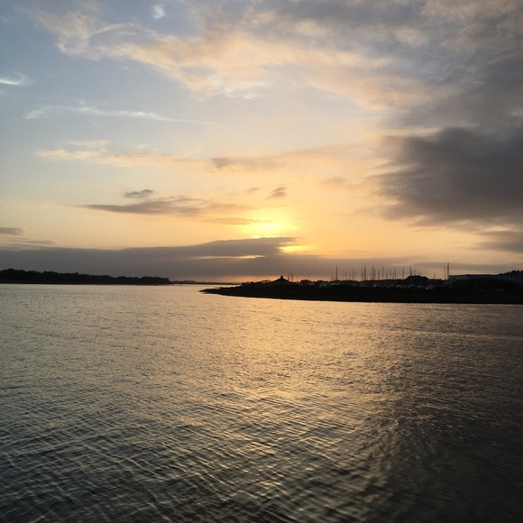 Meet your Posher, Natasha - Picture 1 of 1